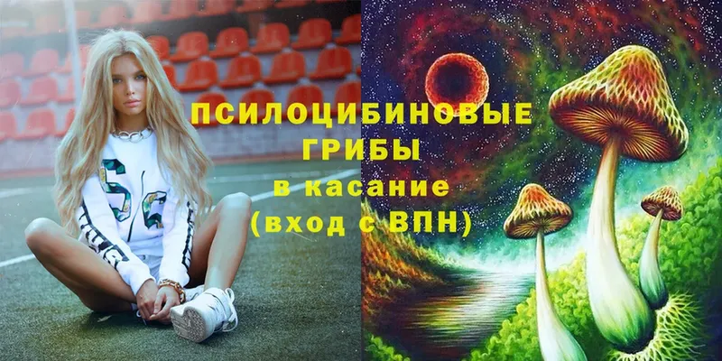 где найти наркотики  Балашов  Псилоцибиновые грибы MAGIC MUSHROOMS 